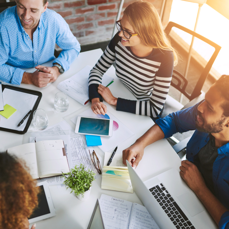 Erdemli Web Tasarım Hizmetleri